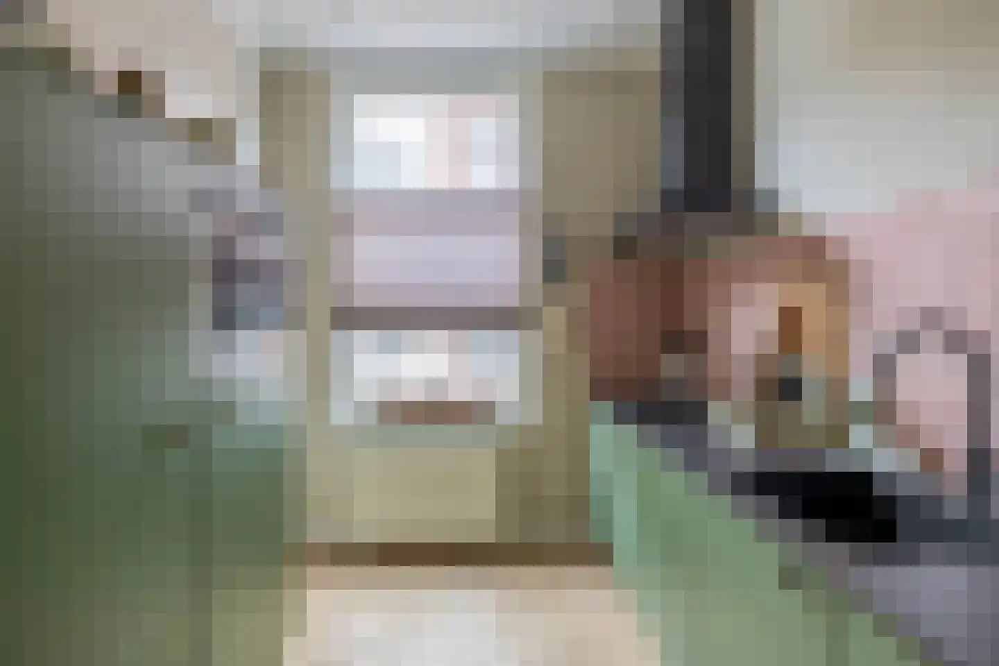 Nobelstraat 91 Brielle thumbnail 5