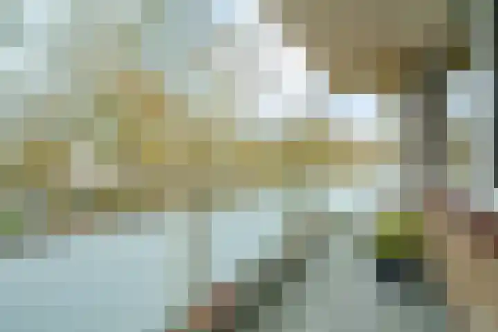 Nobelweg 102 Wageningen thumbnail 20