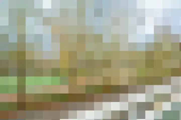 Nobelweg 102 Wageningen thumbnail 21