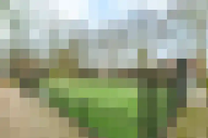 Nobelweg 102 Wageningen thumbnail 25
