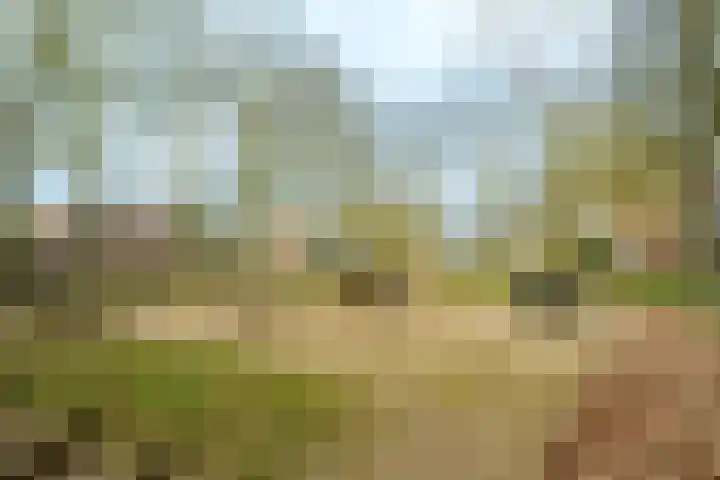 Nobelweg 102 Wageningen thumbnail 26