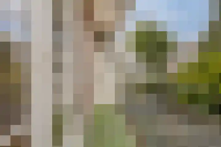 Nobelweg 11 1 Amsterdam thumbnail 6