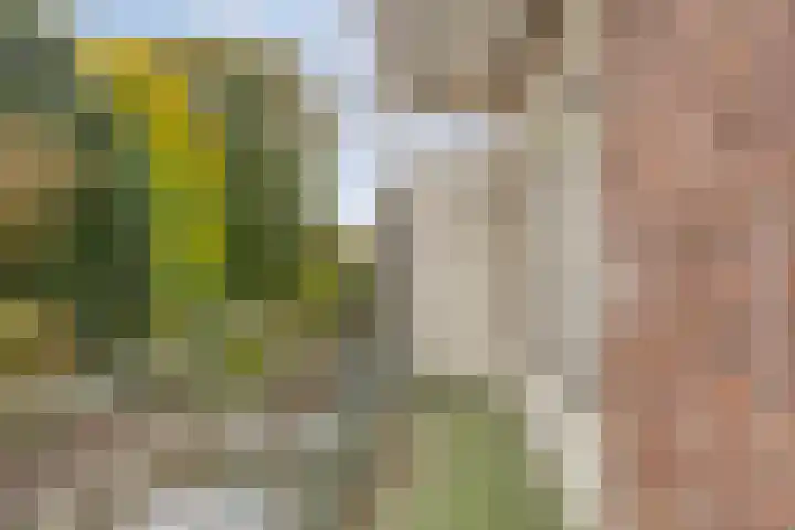 Nobelweg 11 1 Amsterdam thumbnail 7
