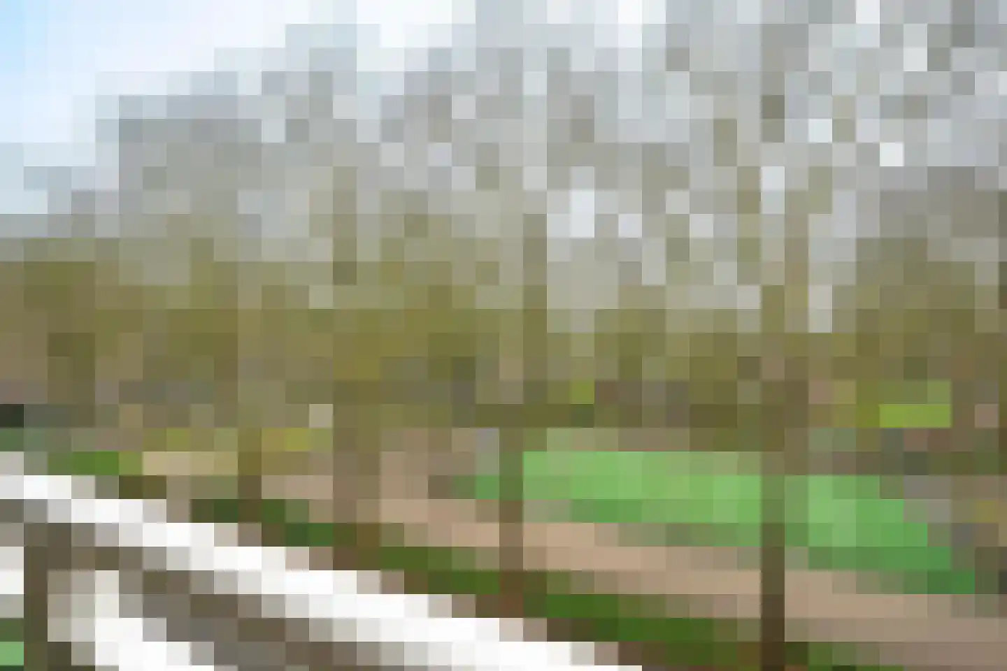Nobelweg 110 Wageningen thumbnail 20
