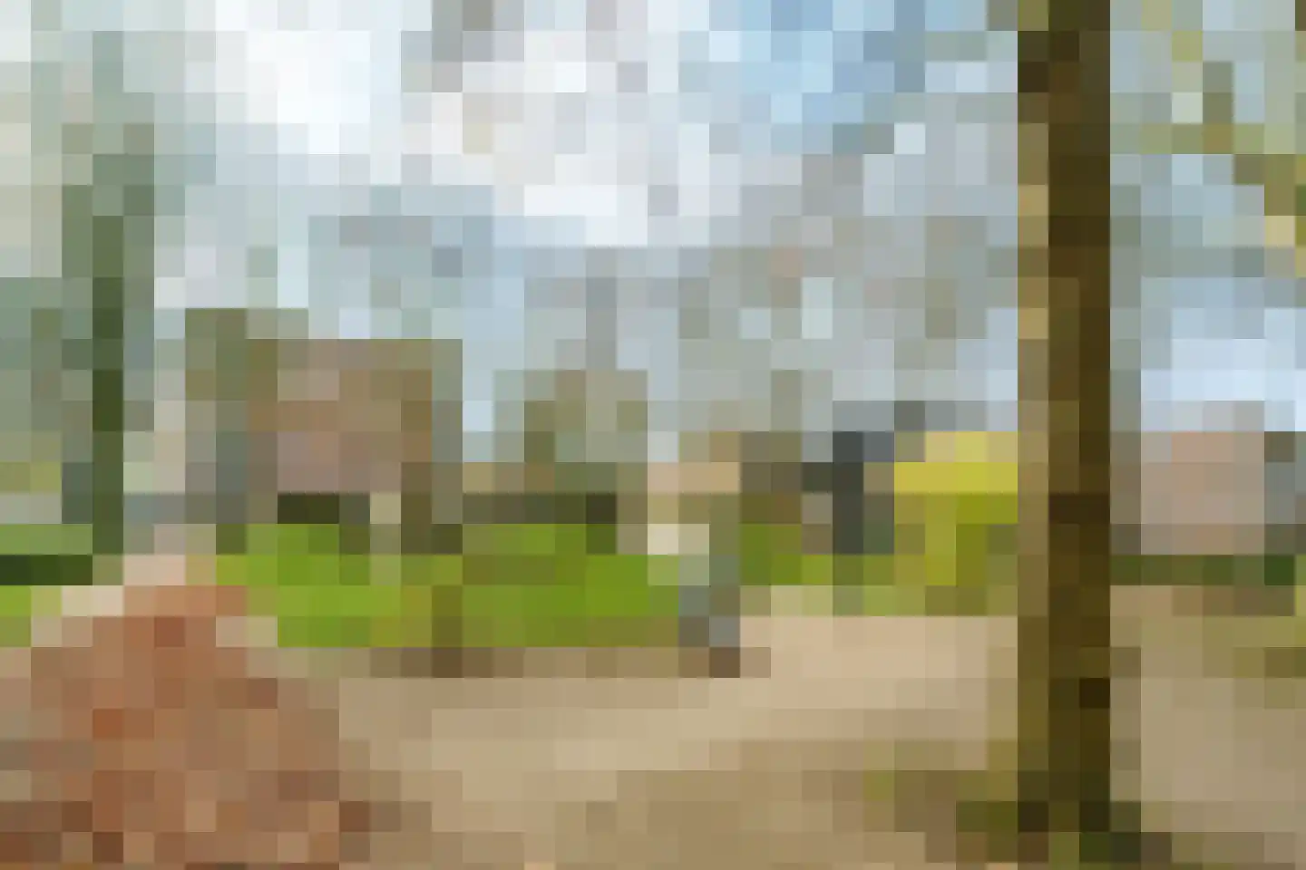 Nobelweg 110 Wageningen thumbnail 22