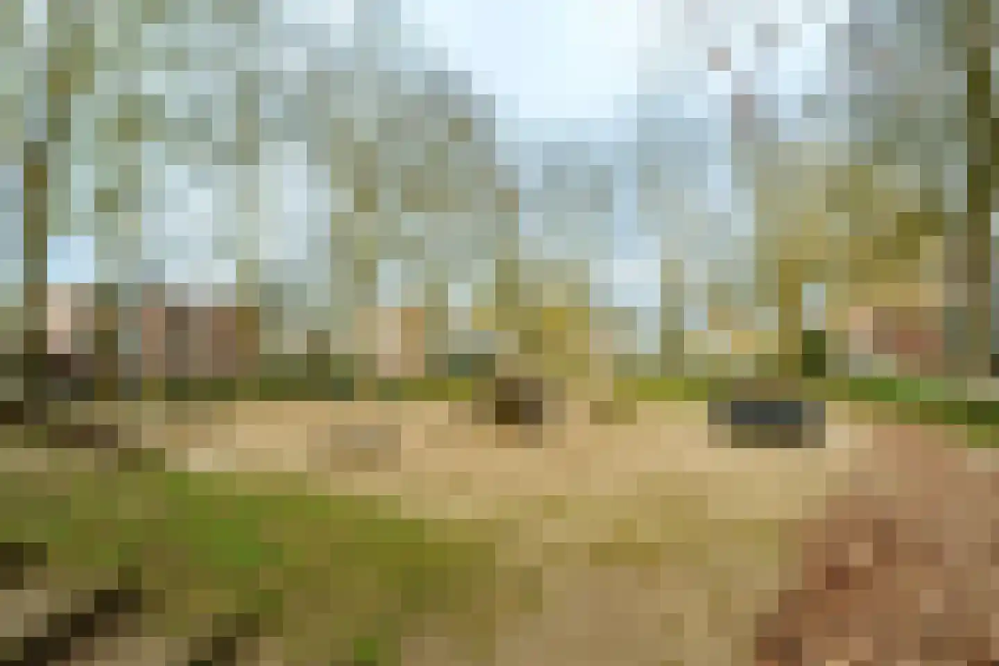 Nobelweg 110 Wageningen thumbnail 24