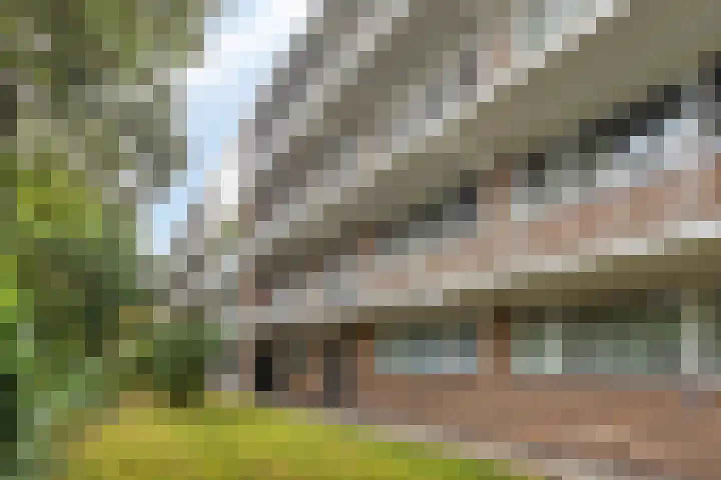 Nobelweg 116 in Wageningen
