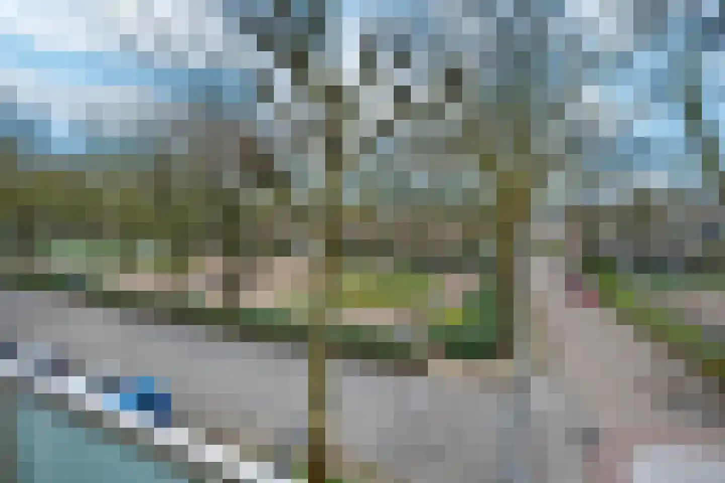 Nobelweg 138 Wageningen thumbnail 4