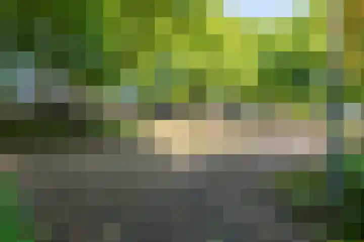 Nobelweg 142 Wageningen thumbnail 30