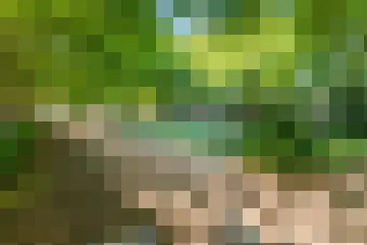 Nobelweg 142 Wageningen thumbnail 31