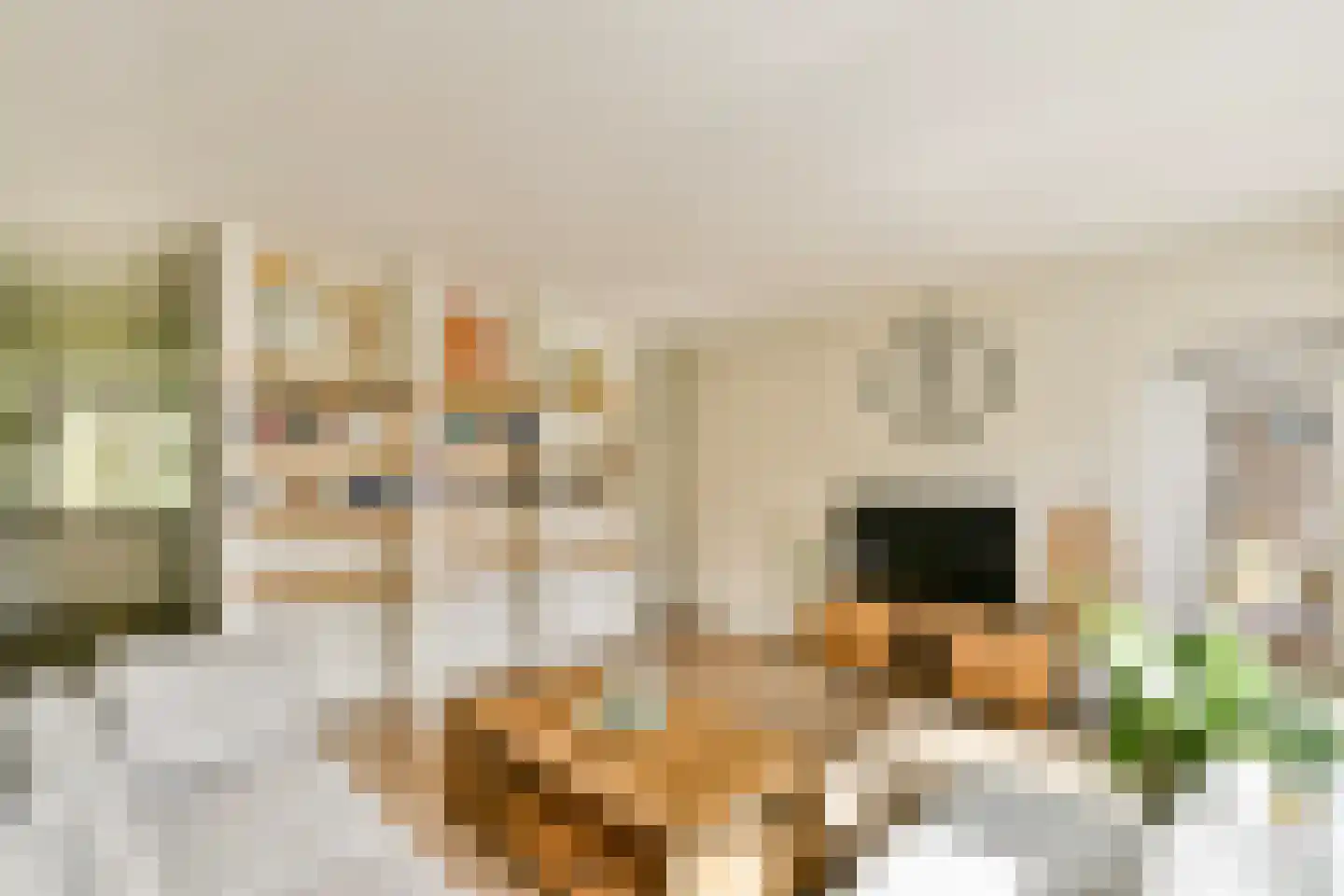 Nobelweg 21 F Amsterdam thumbnail 9