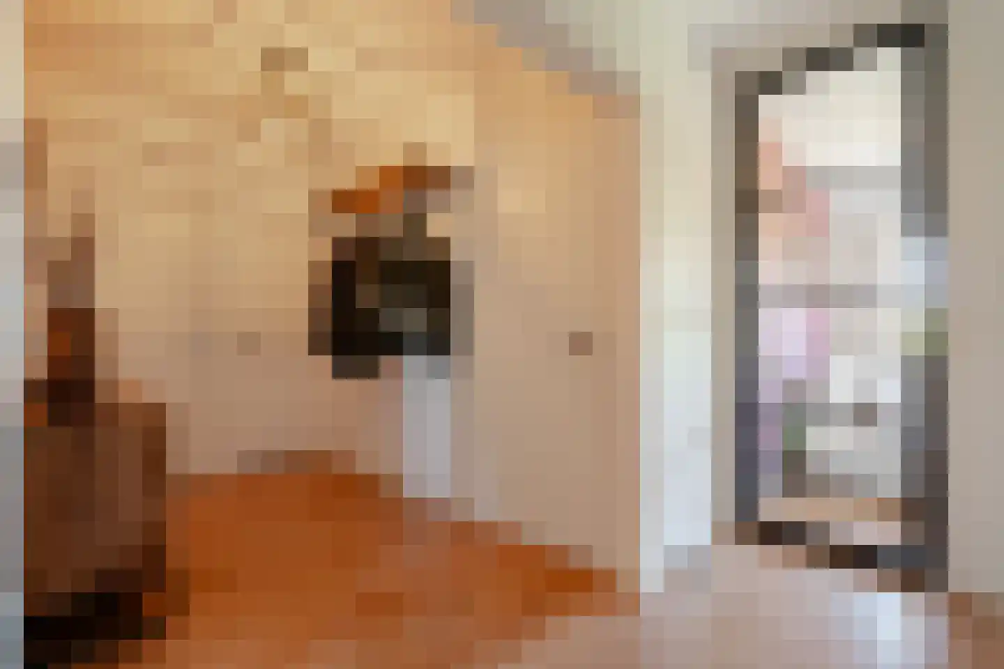Nobelweg 25 B Amsterdam thumbnail 20