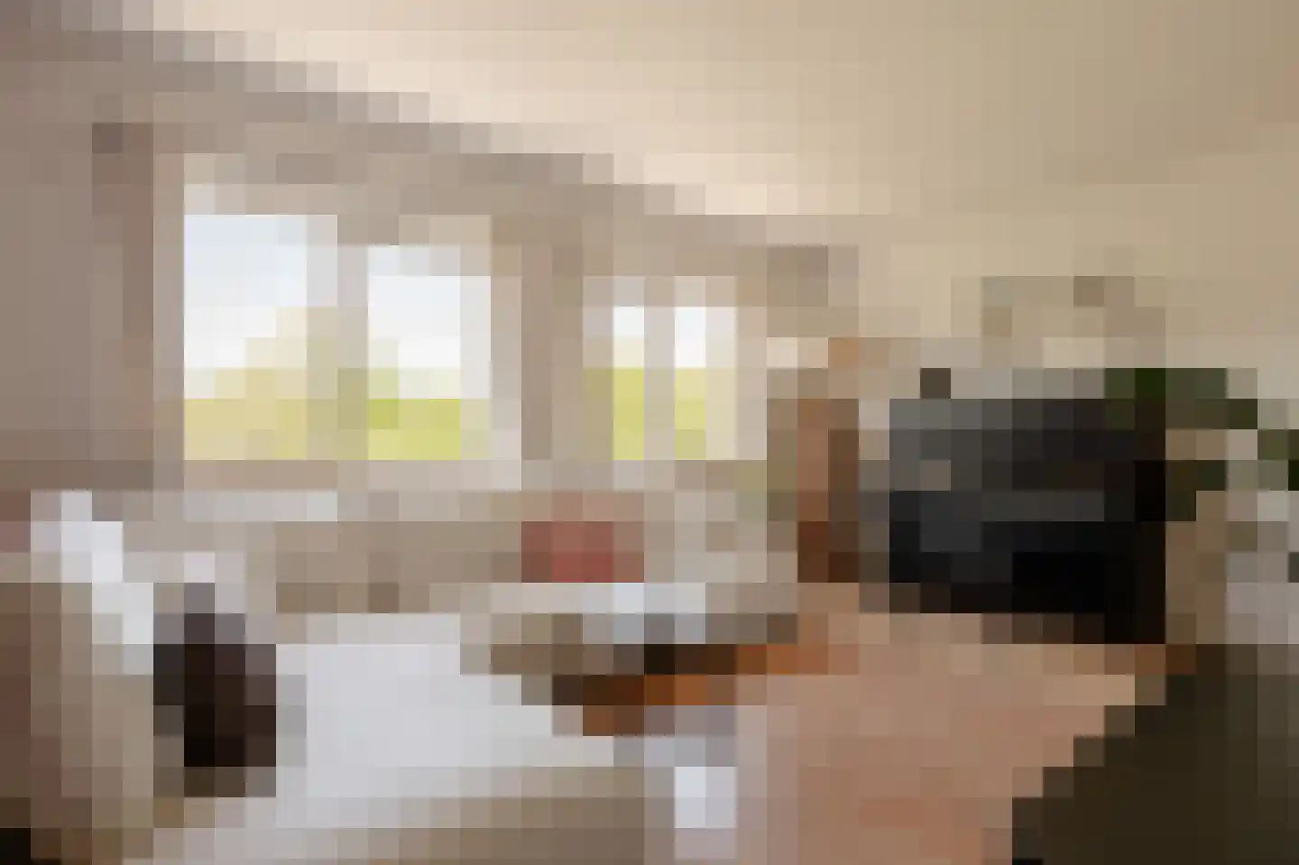 Nobelweg 25 B Amsterdam thumbnail 7