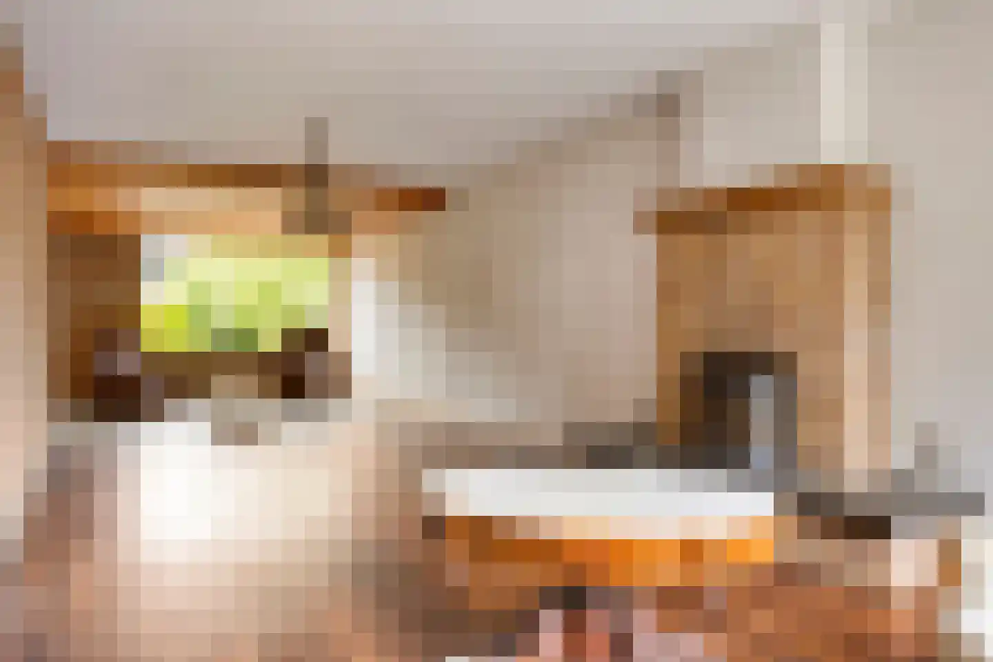 Nocturnestraat 14 Nijmegen thumbnail 15