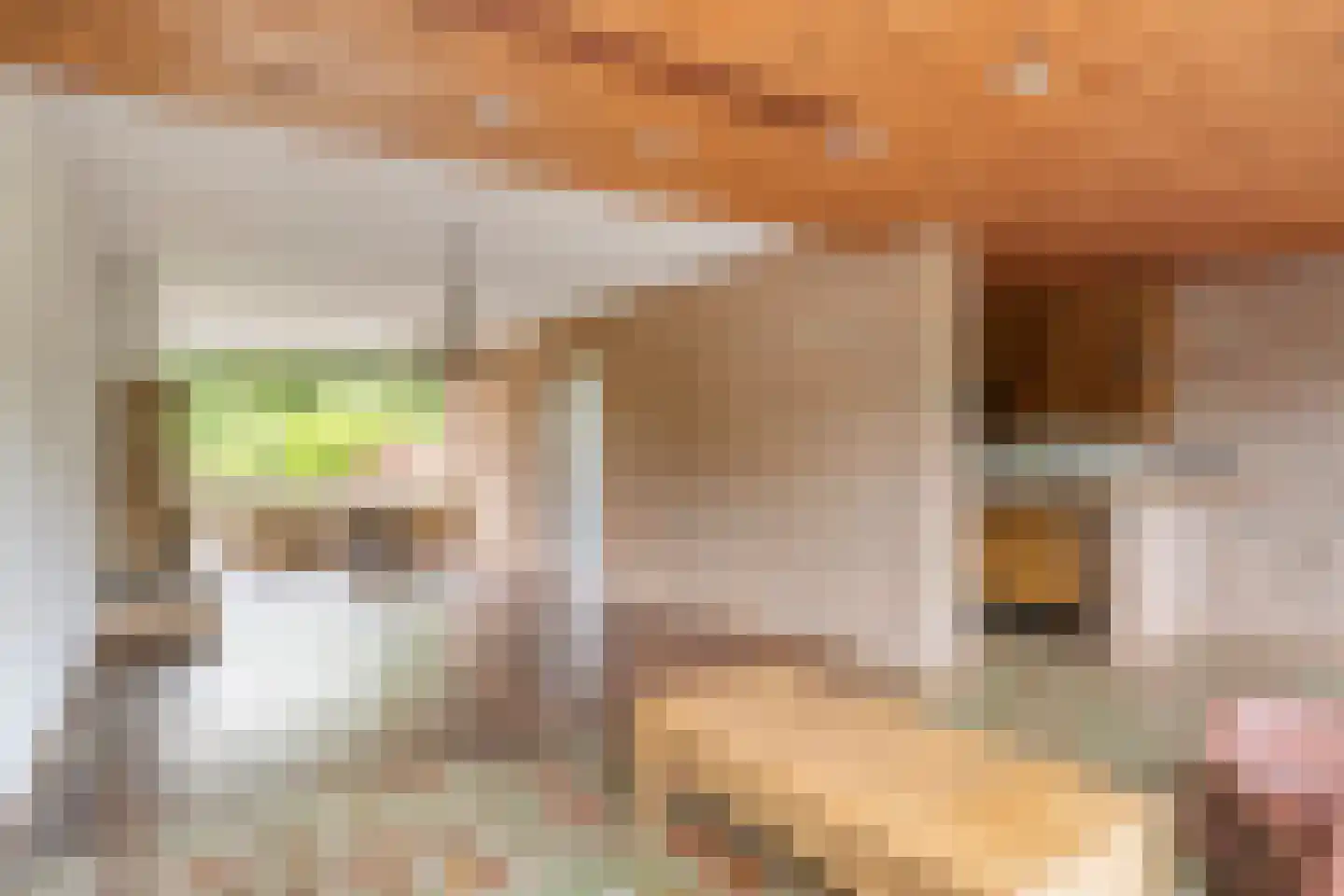 Nocturnestraat 14 Nijmegen thumbnail 17