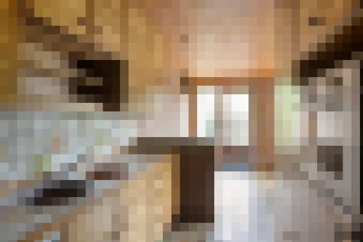 Nocturnestraat 14 Nijmegen thumbnail 22