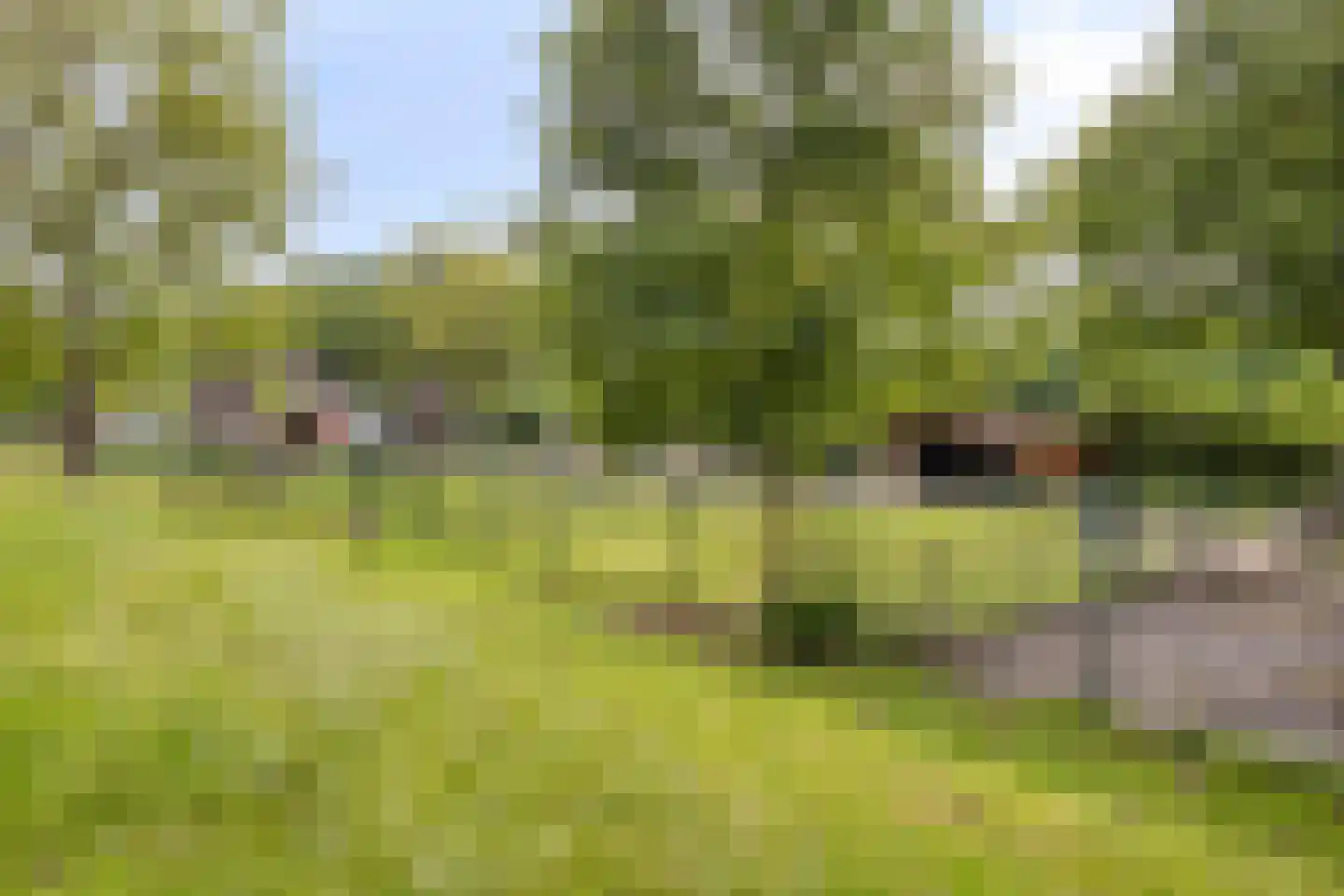 Nocturnestraat 14 Nijmegen thumbnail 49