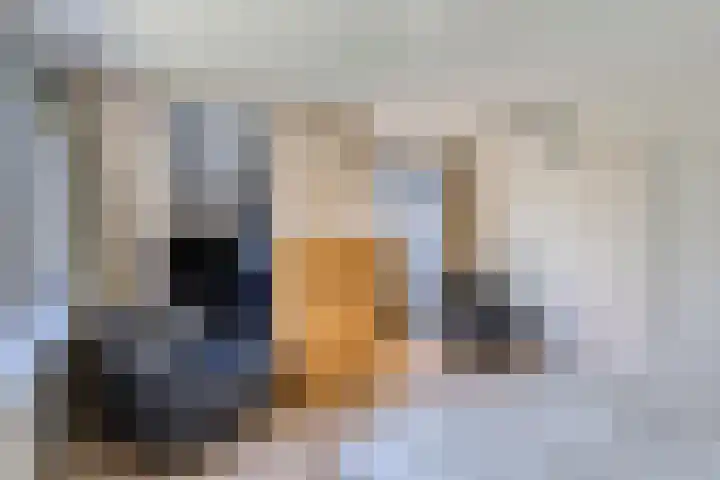 Nocturnestraat 15 Apeldoorn thumbnail 25