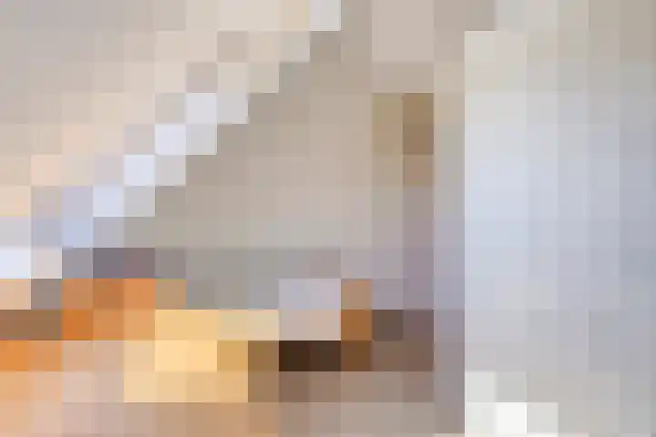Nocturnestraat 15 Apeldoorn thumbnail 31