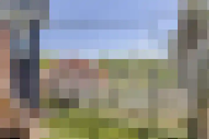 Nocturnestraat 15 Apeldoorn thumbnail 32
