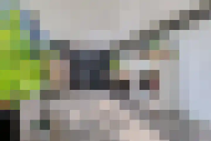 Nocturnestraat 15 Apeldoorn thumbnail 33