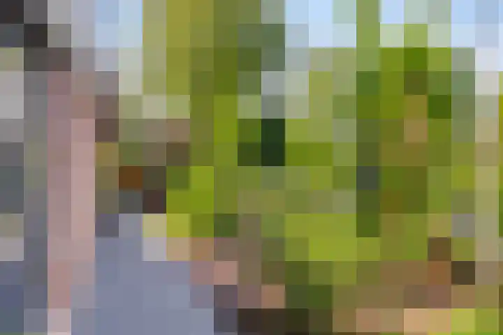 Nocturnestraat 15 Apeldoorn thumbnail 43