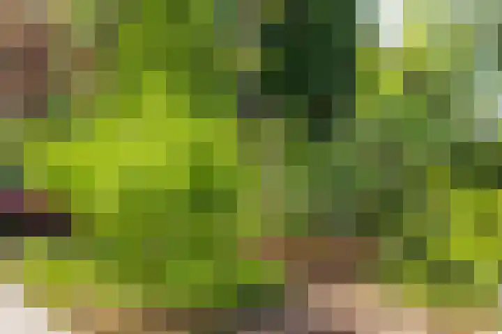Nocturnestraat 15 Apeldoorn thumbnail 46
