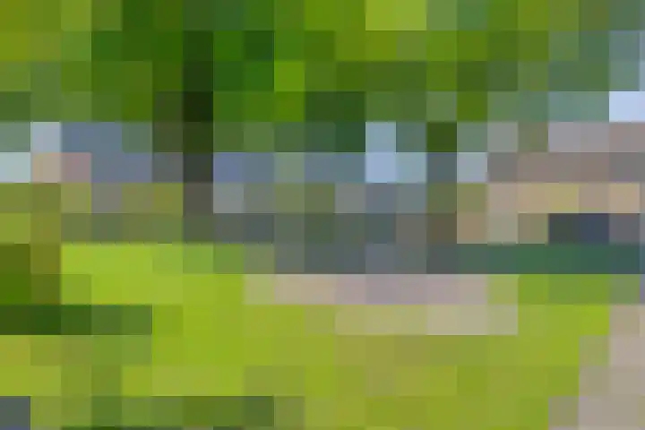 Nocturnestraat 15 Apeldoorn thumbnail 53