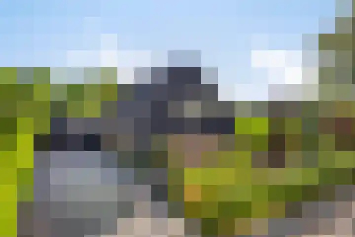 Nocturnestraat 15 Apeldoorn thumbnail 58