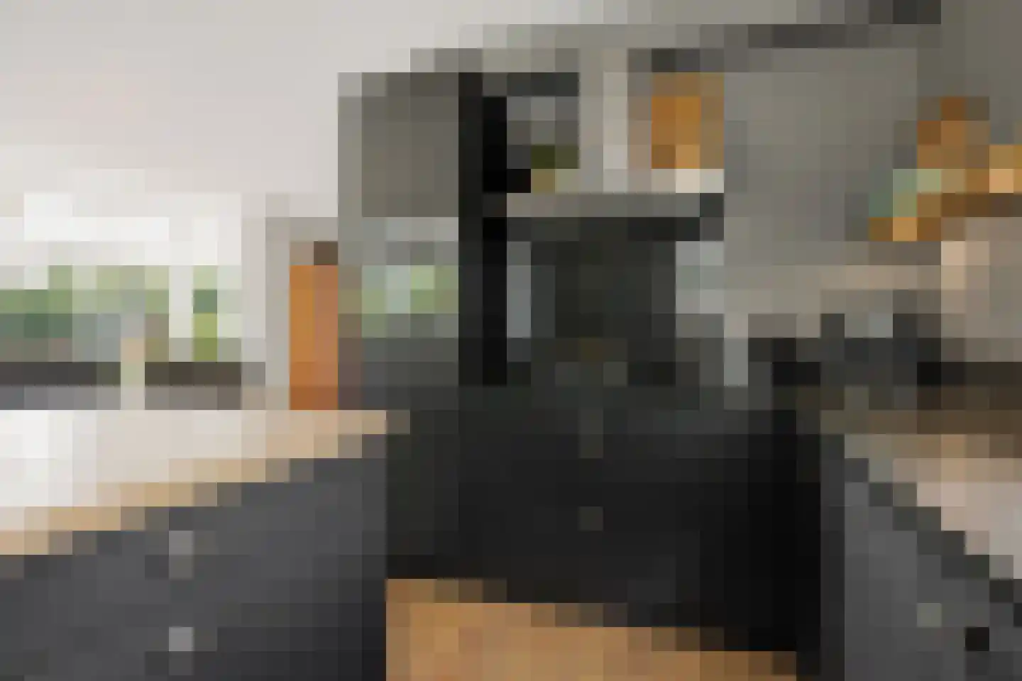 Nocturneweg 27 Rosmalen thumbnail 12