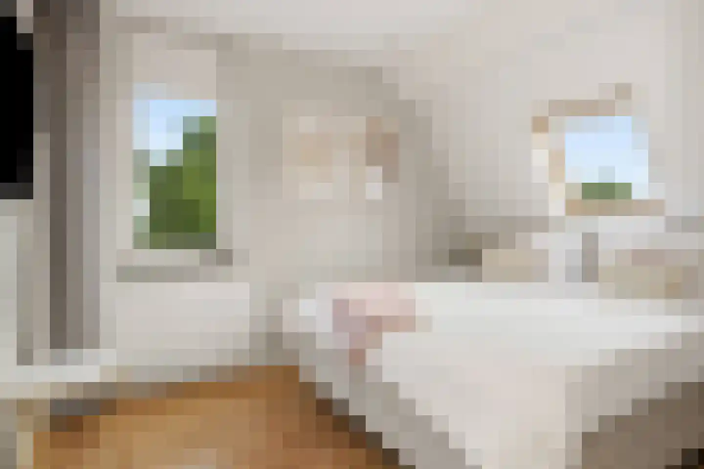Nocturneweg 27 Rosmalen thumbnail 24