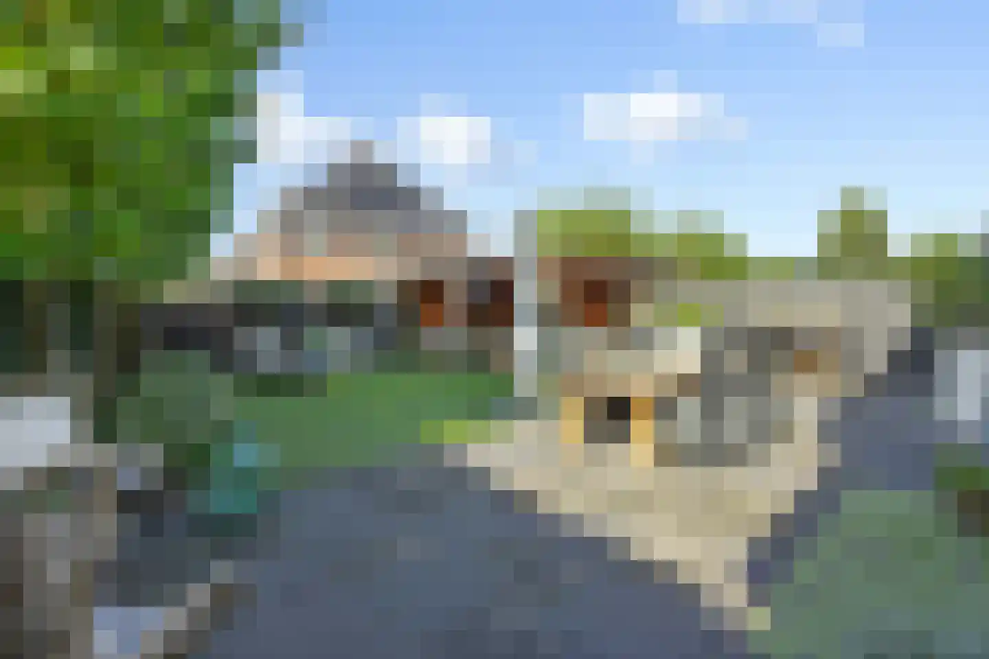 Nocturneweg 27 Rosmalen thumbnail 27