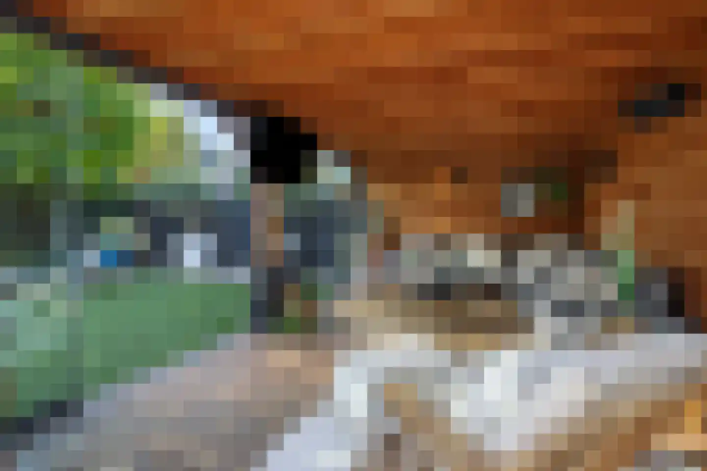 Nocturneweg 27 Rosmalen thumbnail 30