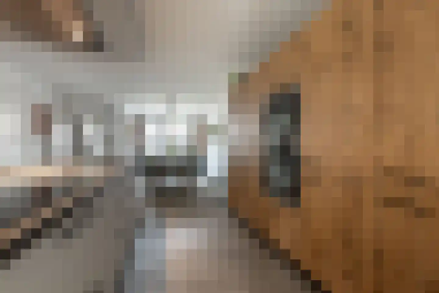 Noddeveld 3 Berlicum thumbnail 13