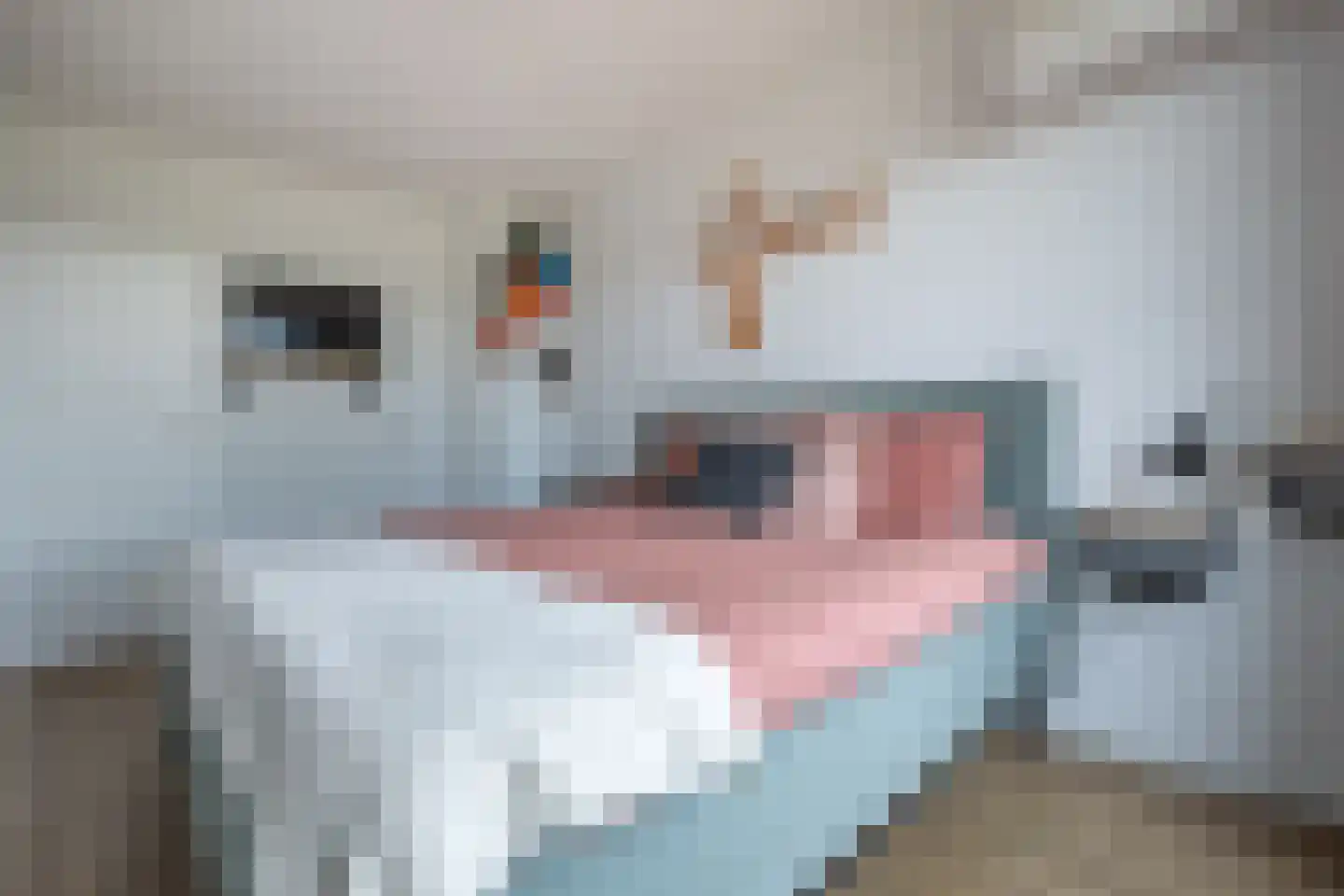 Noddeveld 3 Berlicum thumbnail 29