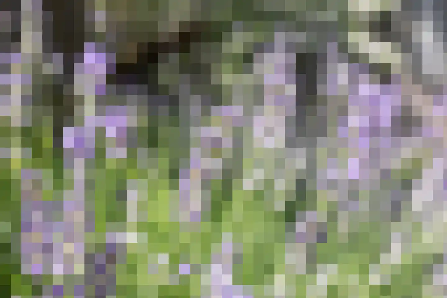 Noddeveld 3 Berlicum thumbnail 48