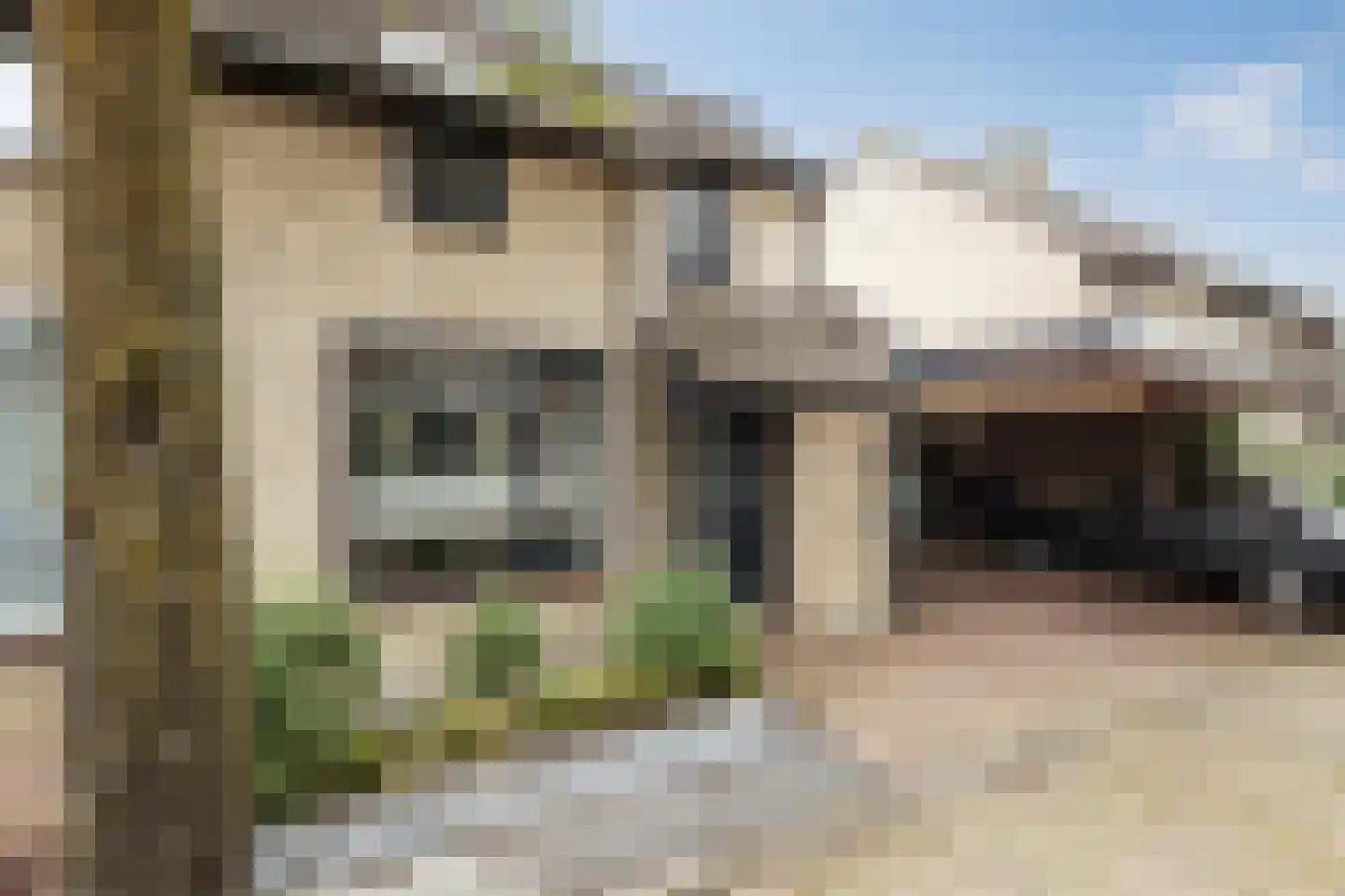 Noddeveld 3 Berlicum thumbnail 53