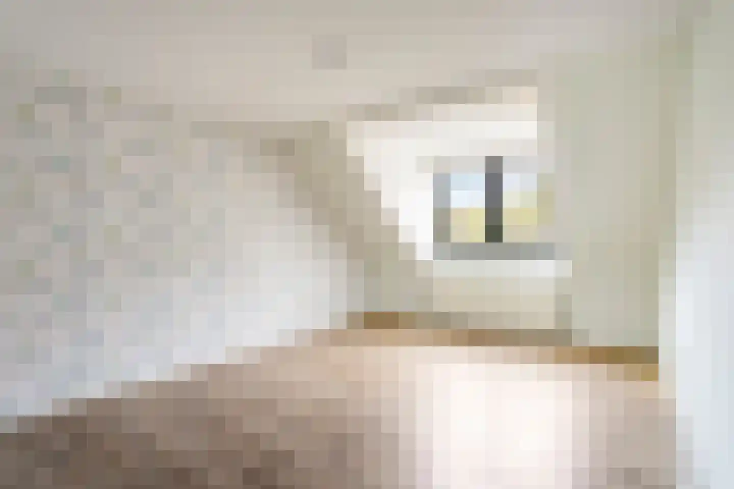 Noenever 3 Buggenum thumbnail 18