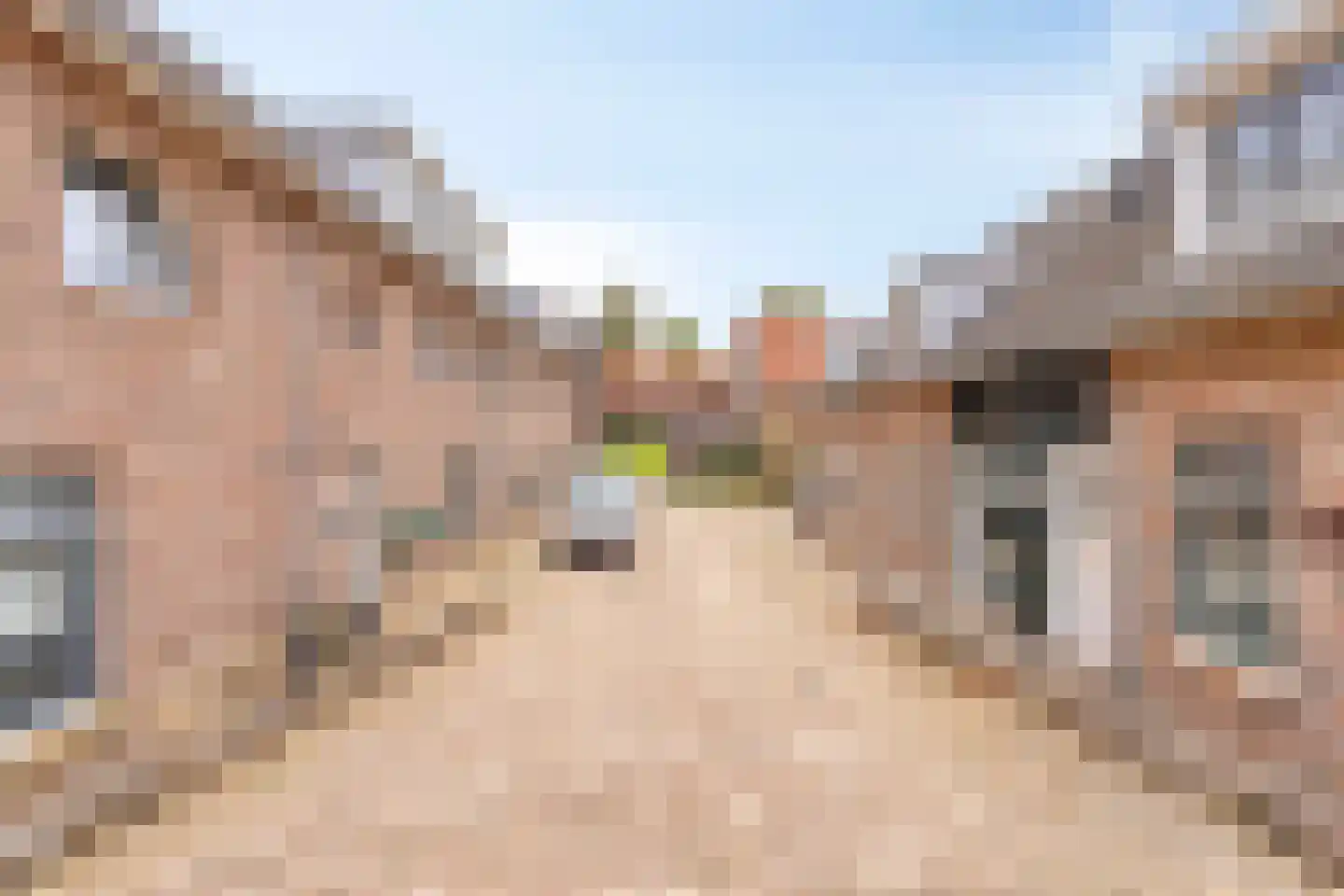 Noenever 3 Buggenum thumbnail 30