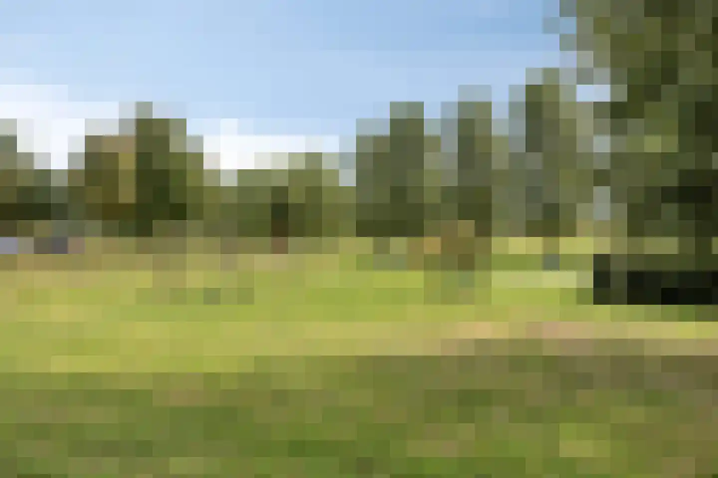 Noenever 3 Buggenum thumbnail 32