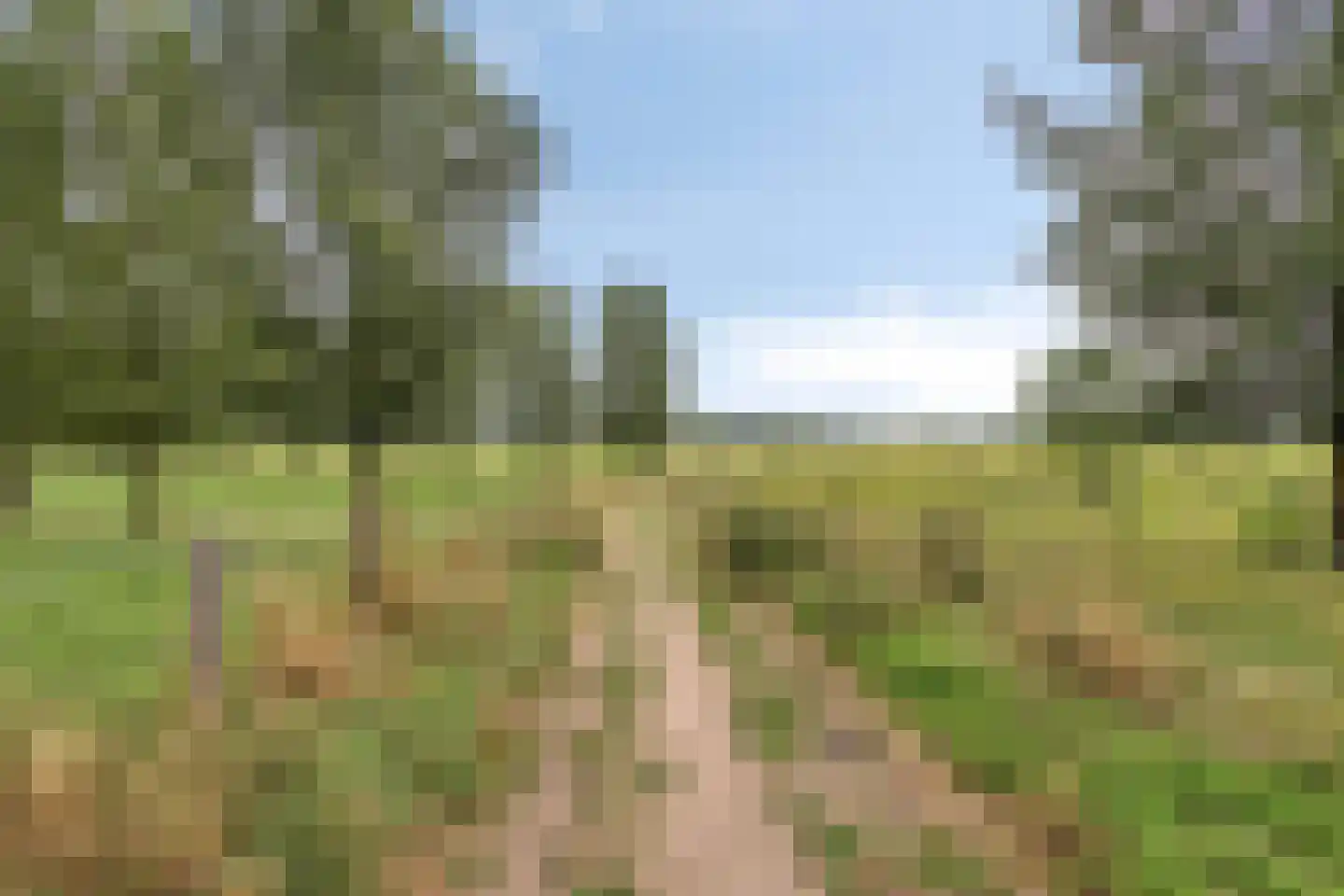 Noenever 3 Buggenum thumbnail 33