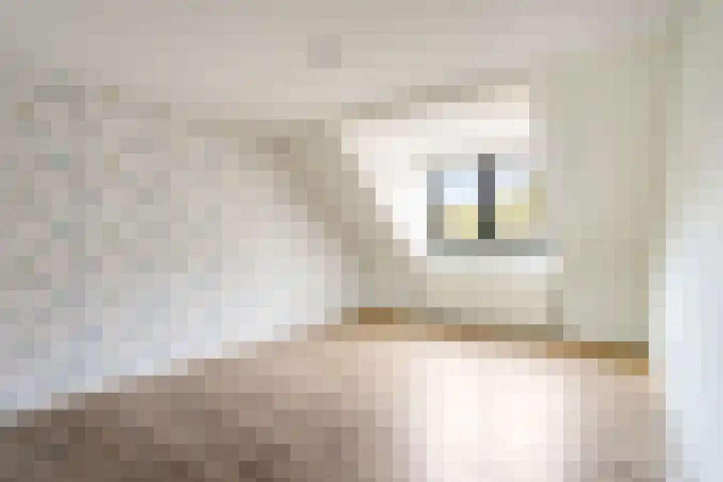 Noenever 3 Buggenum thumbnail 5