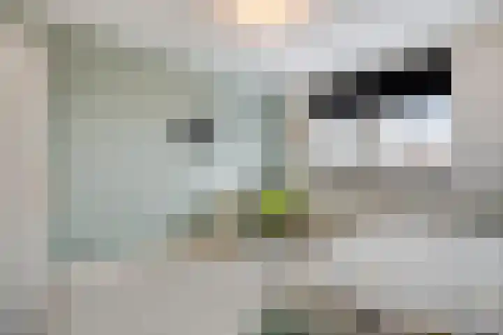 Noerinckstraat 6 Groessen thumbnail 22