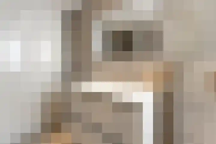 Noerinckstraat 6 Groessen thumbnail 27