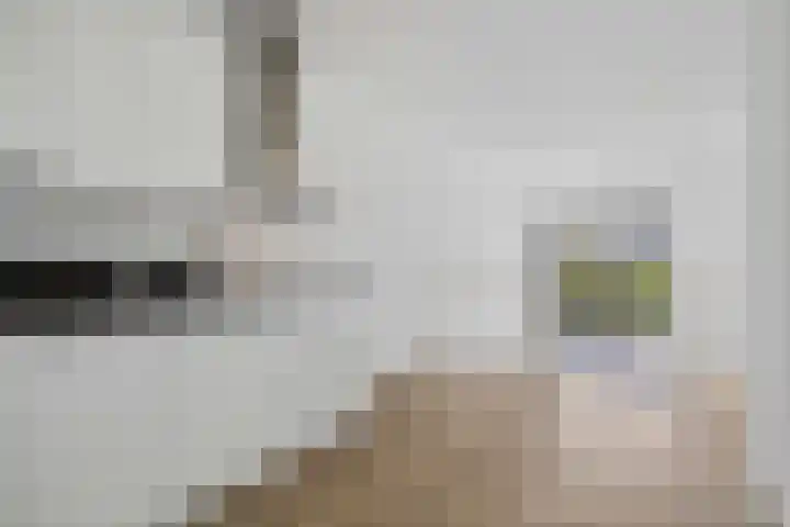 Noetselebrink 44 Enschede thumbnail 10