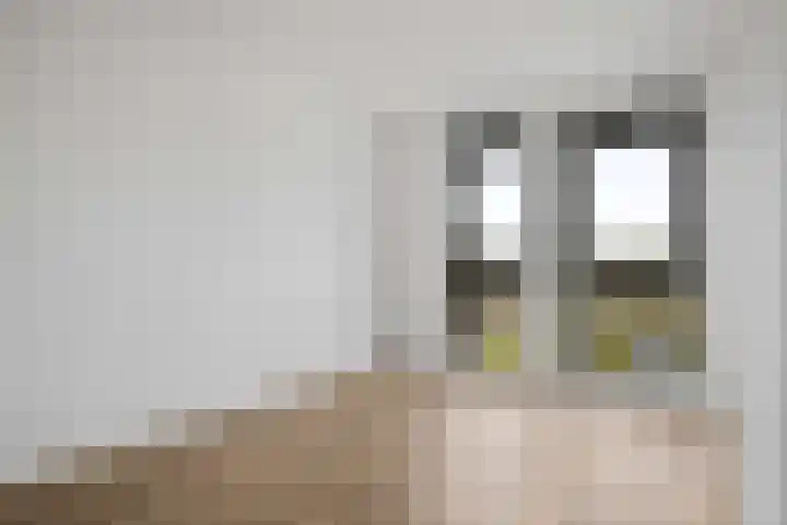 Noetselebrink 44 Enschede thumbnail 19