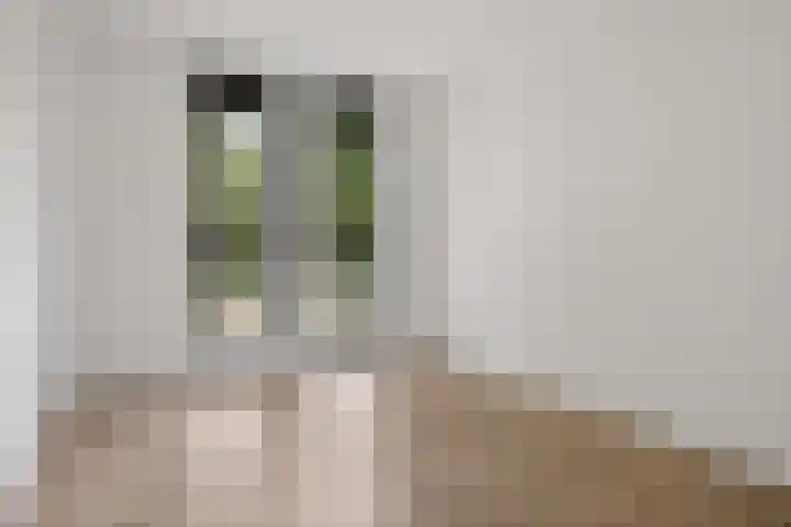 Noetselebrink 44 Enschede thumbnail 21