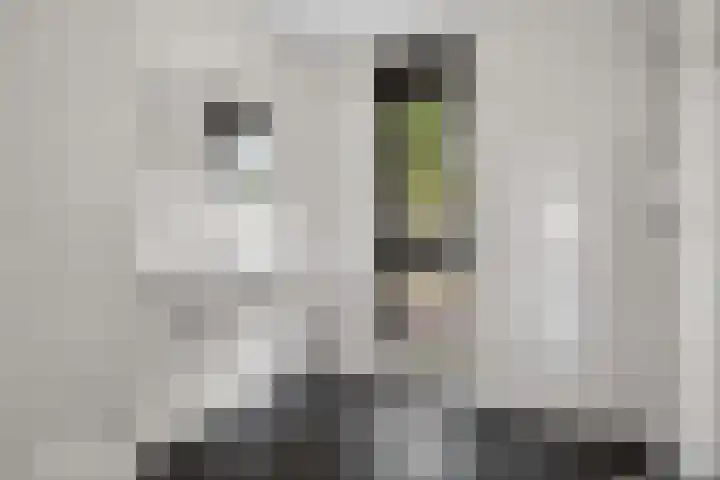 Noetselebrink 44 Enschede thumbnail 22