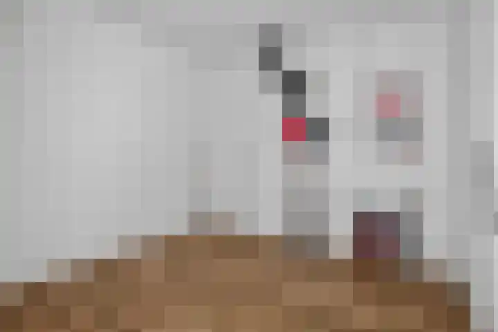 Noetselebrink 44 Enschede thumbnail 29