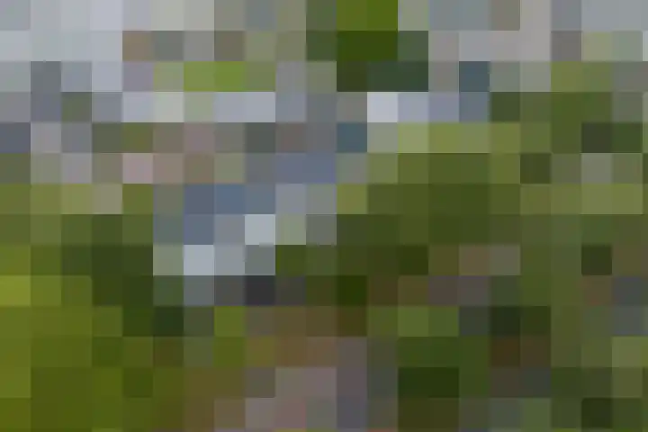 Noetselebrink 44 Enschede thumbnail 35